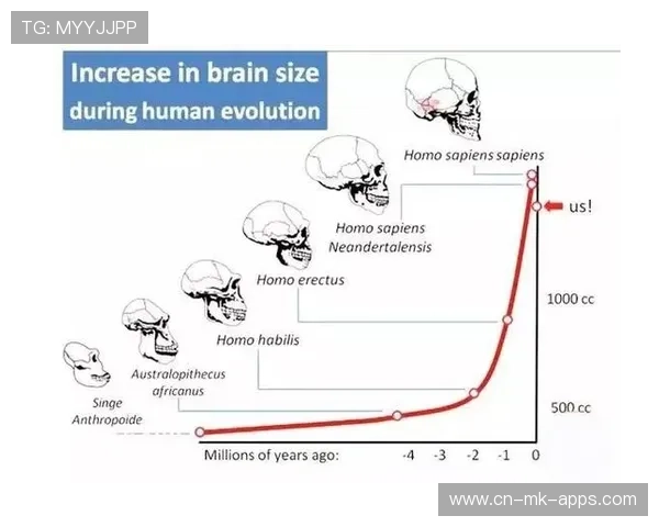 网球技术进化:高科技训练的影响
